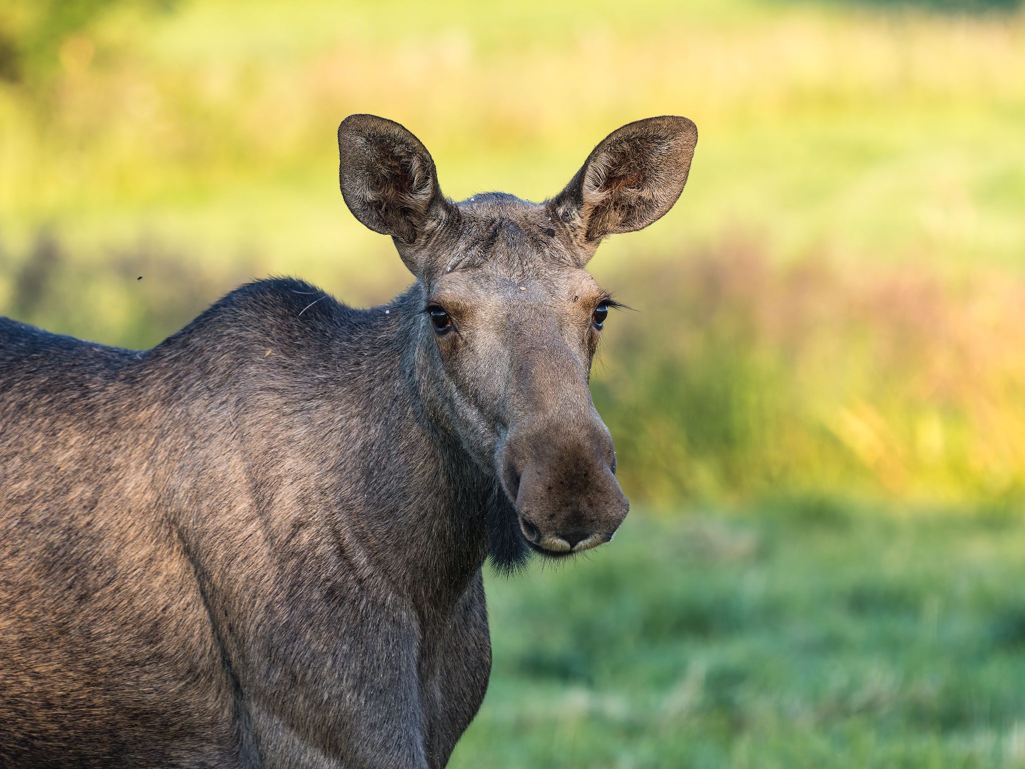 250723 0514 H  1HR1610 DxO DeepPRIME XD2s